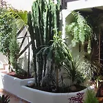 Aptos Monasterio De San Antonio 7 *