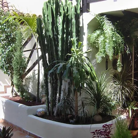 Aptos Monasterio De San Antonio 7 *