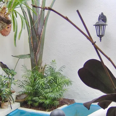 Apartment Aptos Monasterio De San Antonio 7 *