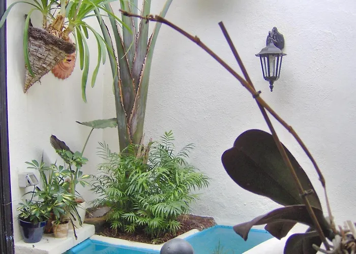 Aptos Monasterio De San Antonio 7 公寓