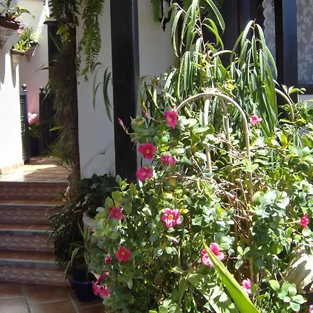 Apartmán Aptos Monasterio De San Antonio 7 Icod De Los Vinos