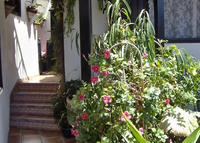 Apartament Aptos Monasterio De San Antonio 7 Icod De Los Vinos